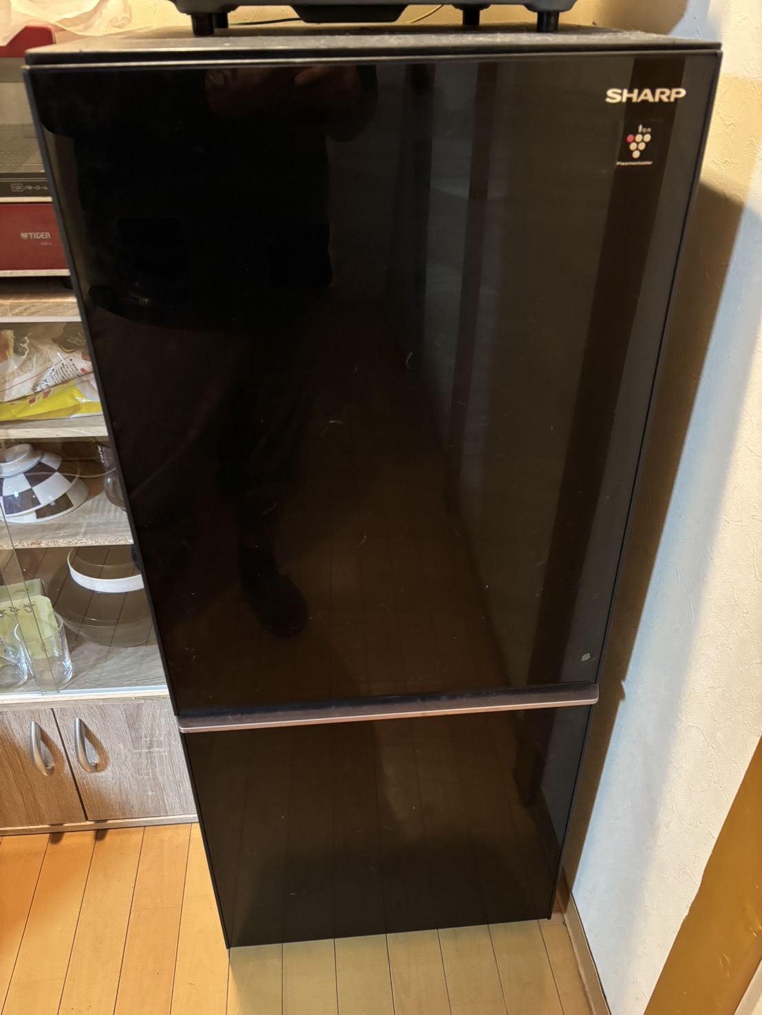 SHARP 冷蔵庫　SJ-GD14E-B Amazon | シャープ SHARP 冷蔵庫 (幅48.0cm) 137L プラズマ